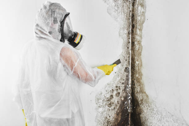 Water Damage Restoration in Perryton, TX