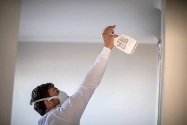 Best Mold Testing  in Perryton, TX