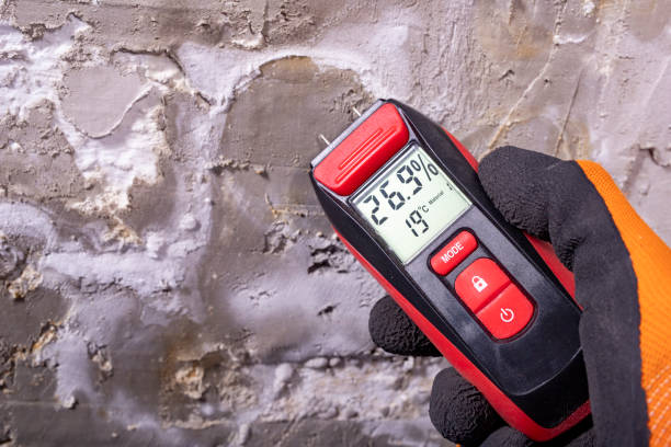 Best Mold Remediation  in Perryton, TX