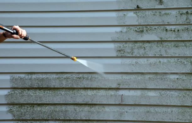 Best Mold Removal and Inspection  in Perryton, TX
