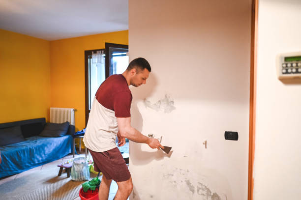 Best Mold Removal Near Me  in Perryton, TX
