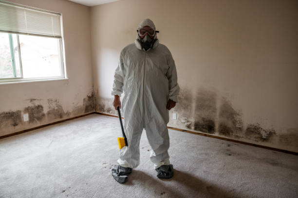 Best Office Mold Removal Services  in Perryton, TX